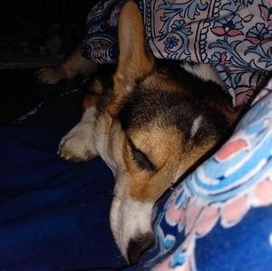 Meet your Posher, Montessa